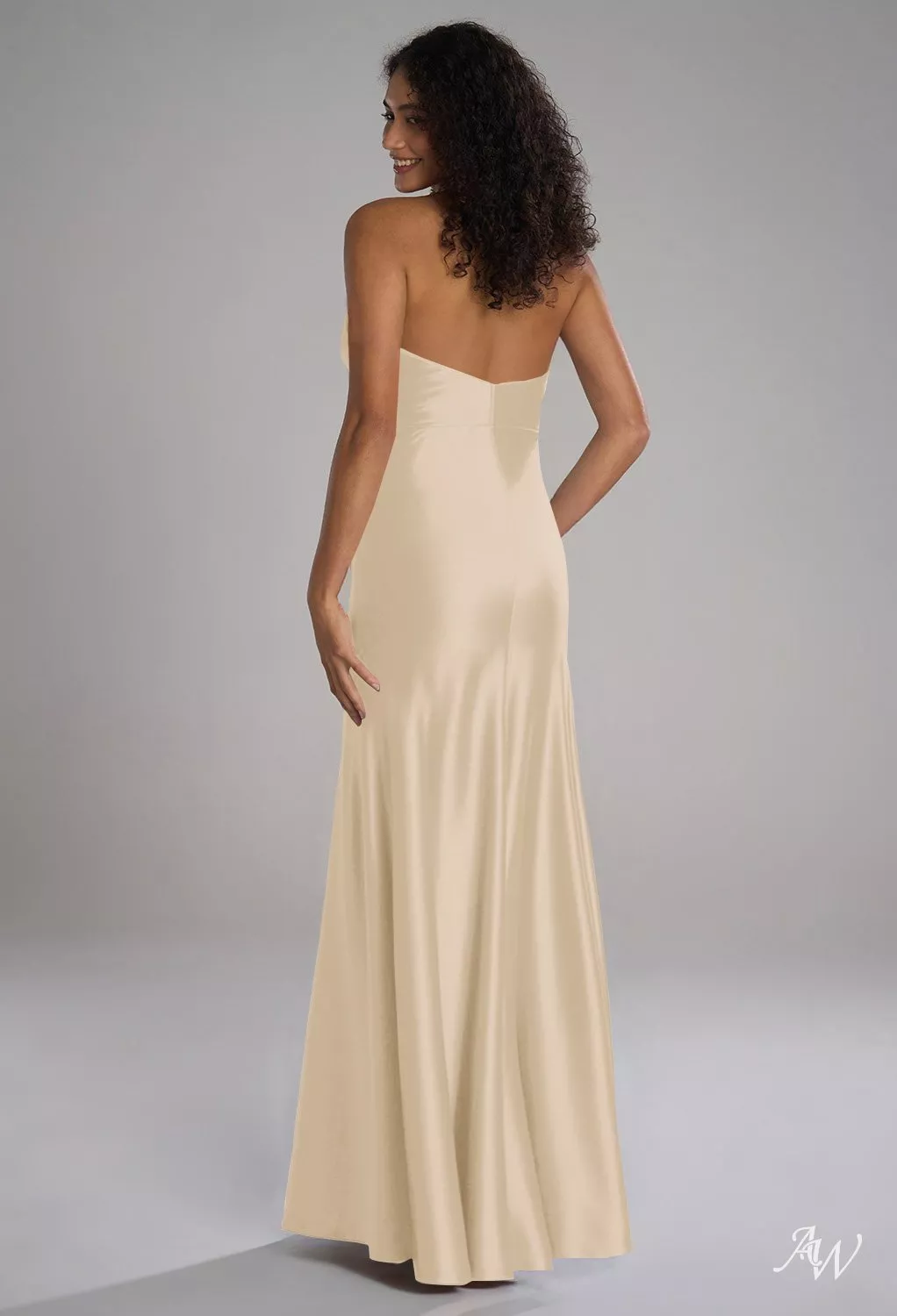 AW Devon Dress, Champagne Satin Charmeuse Floor Length V-Neck Bridesmaid  Dresses