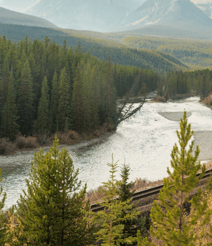 PROCESSUS RESPECTUEUX DE L'ENVIRONNEMENT