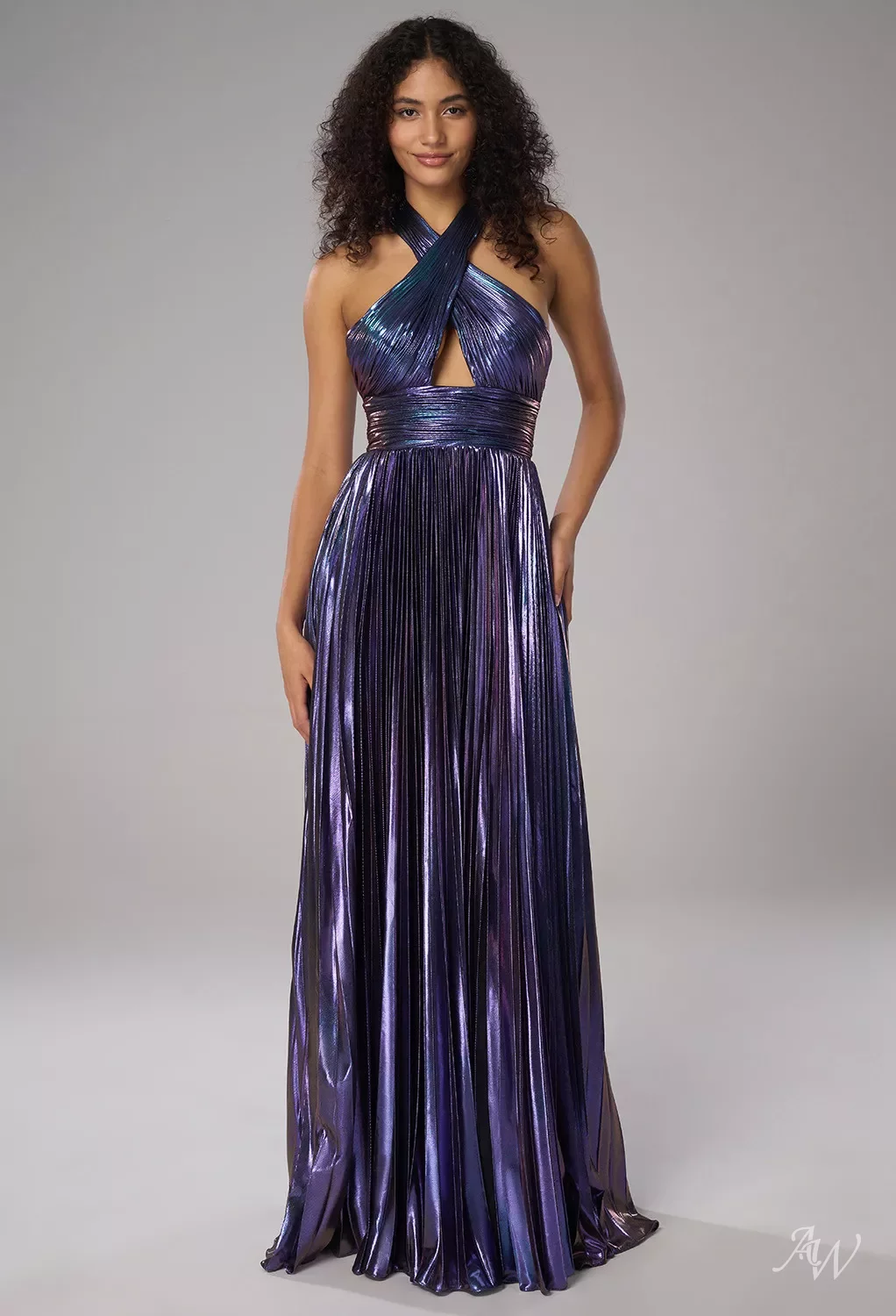 AW Rio Dress, Dark Purple Shimmer Pleated Mesh Floor Length