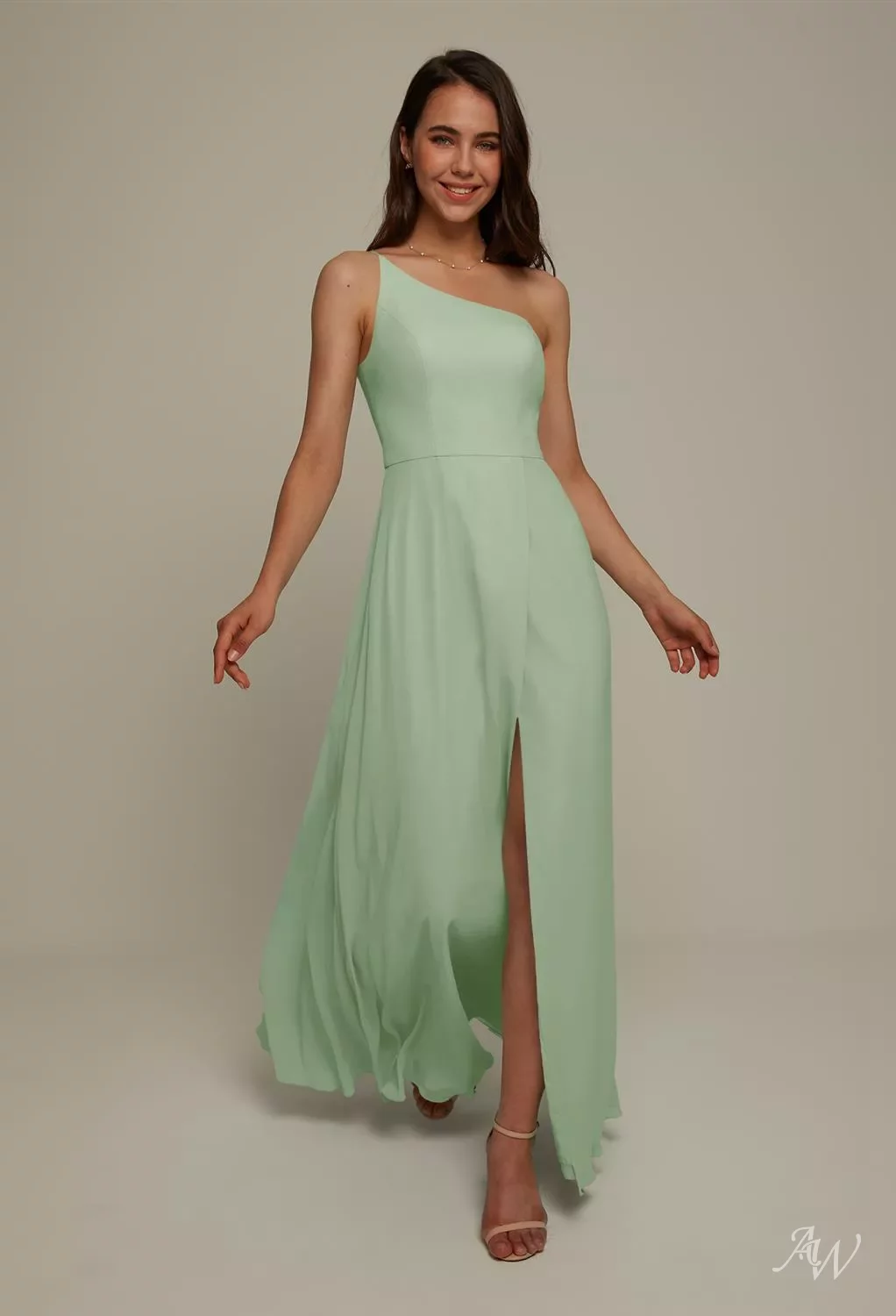 janey chiffon a line dress AW Janey Dress (ready to ship)