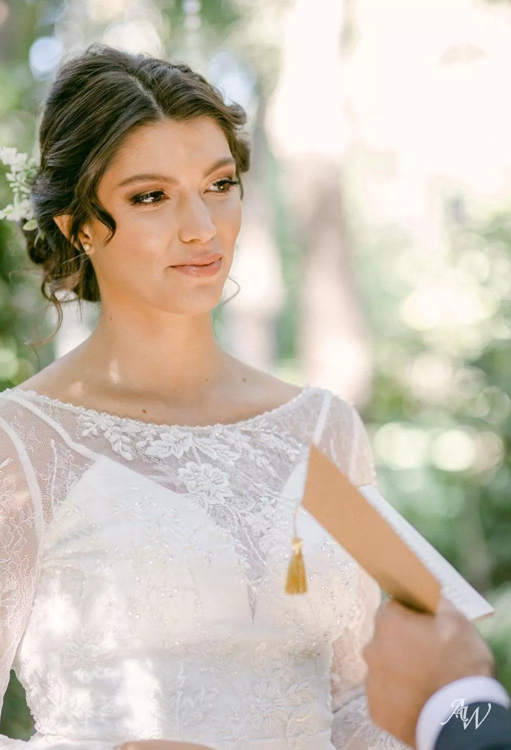 antonia bridesmaid dress Silver Chiffon V-Neck Bridesmaid Dress A-Line Floor-Length main image 0