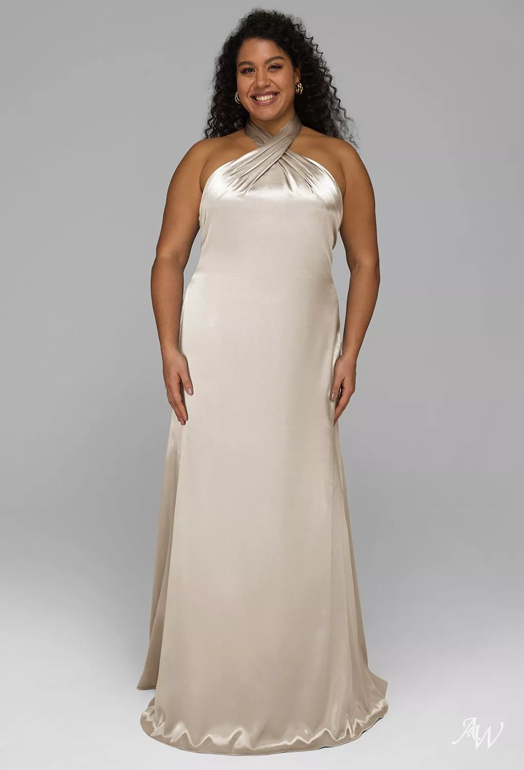 white christmas dresses Champagne A Line V Neck Plus Size Mother Of The Bride Dress main image 1