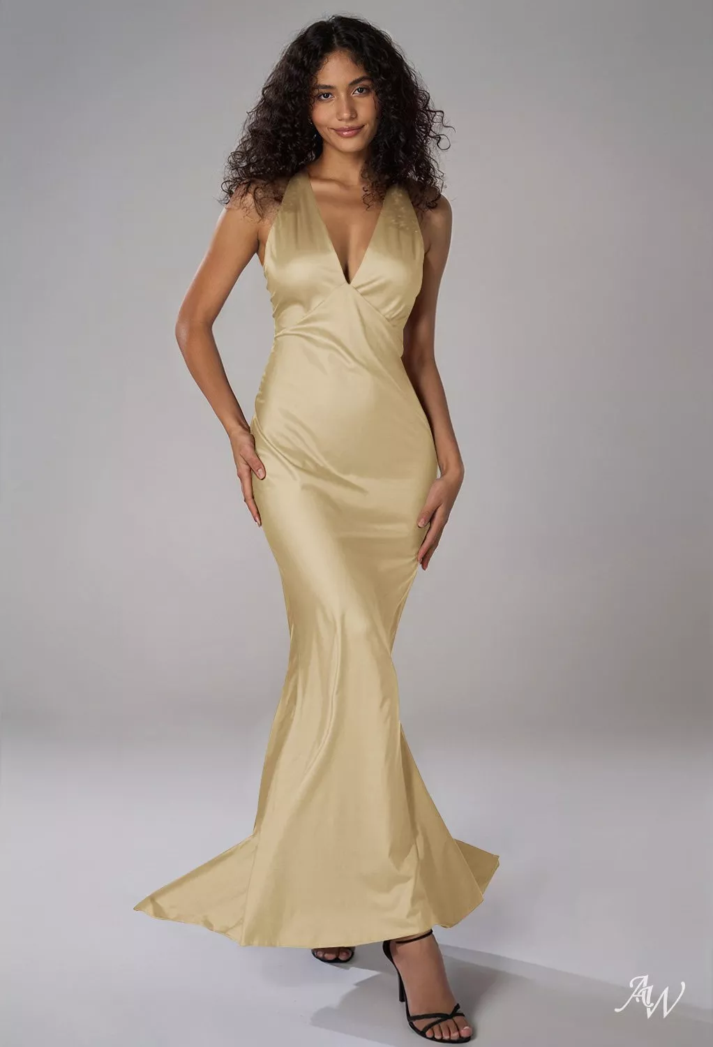 green emerald velvet dress Sandra Pleated Maxi Dress — Champagne Halter main image 0