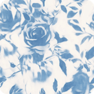 Oceanic Fantasy Rose