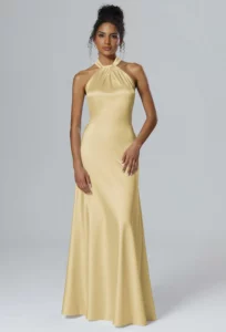 AW Carey Dress